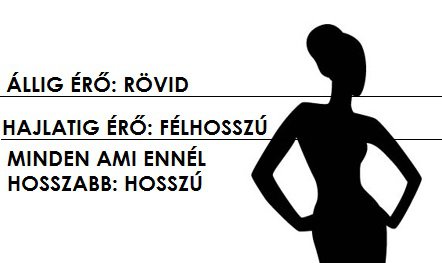 20171023183446-woman-silhouette-with-elegant-dress-23-2147515122